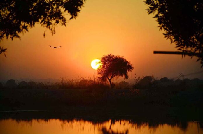 A mesmerizing view of the sunset graces the horizon over Jamshoro, offering a picturesque moment of natural beauty