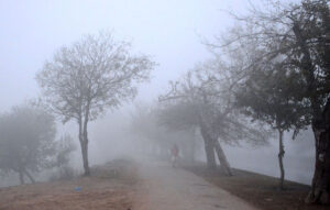 A foggy view of the first morning of the year 2025 in the city