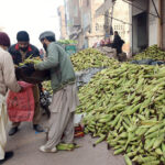 Traders are displaying corn to attract customers at the Fruit market