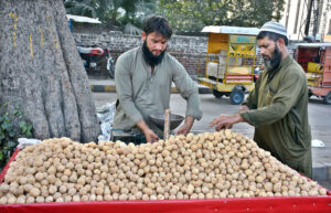 A walnut vendor near Sultanpura Road attracts customers by displaying walnuts on his handcart.