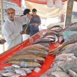 A person purchasing fish from roadside vendor