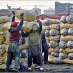 Labourers busy in loading vegetable bags in delivery truck at Sabzi Mandi
