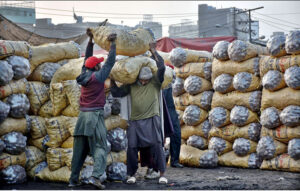 Labourers busy in loading vegetable bags in delivery truck at Sabzi Mandi