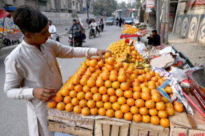 A vendor arranging and displaying oranges on handcart to attract the customers at road side