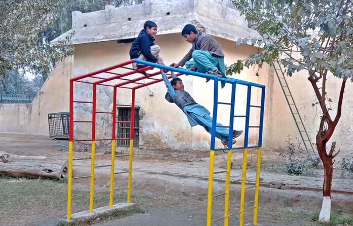 youngsters enjoy swings at Local Park in the city