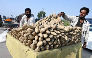 A hawker displays fresh yams to attract customers on roadside at Qasim Chowk, Hyderabad.