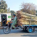 A sugarcane-laden motorcycle cart on its way to its destination