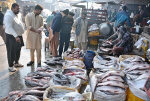 As the seasonal demand increases with the drop in temperature in the city, consumers opt for fresh fish to buy different types of fish in the fish market.
