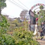 Labourers are busy unloading plants from a truck at local nursery