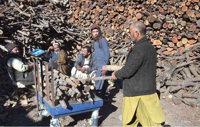 A customer buying wood for domestic use as demand rises with the drop in temperature amid chilling cold weather
