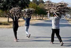 Young boys cross the road on their way home, carrying dry branches of wood for domestic use, especially for cooking and heating in the Federal Capital