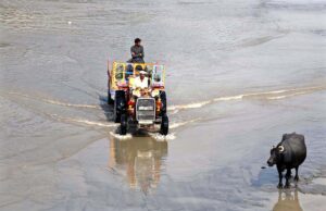 A tractor trolley carrying fine river sand used in construction, crossing the Rice Canal in Larkana.