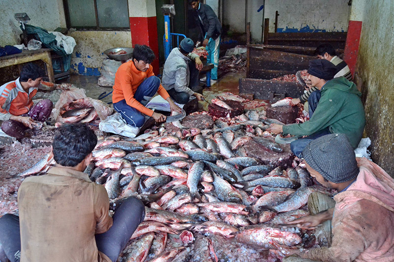 Vendors busy cleaning the fishes to attract the customers at wholesale fish market
