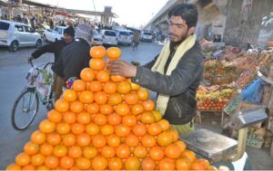 A vendor displaying oranges on his cart to attract customers at roadside