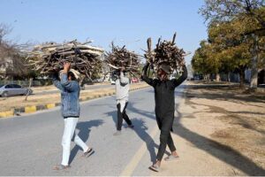 Young boys cross the road on their way home, carrying dry branches of wood for domestic use, especially for cooking and heating in the Federal Capital