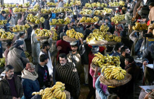 Labourers carrying the baskets of bananas on their head during auction as shopkeepers participating in bidding of fruit (Banana) at fruit market in the Provincial Capital
