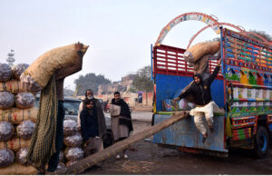 Labourers busy in loading vegetable bags in delivery truck at Sabzi Mandi