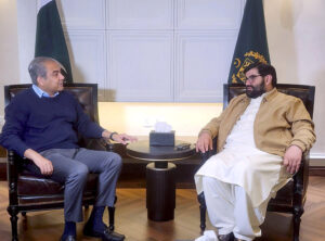 Federal Minister for Interior Mohsin Naqvi in a meeting with President of Awami National Party Aimal Wali Khan.