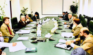 Federal Minister for Industries & Production, Rana Tanveer Hussain, chaired the Fertilizer Review Committee Meeting in federal capital