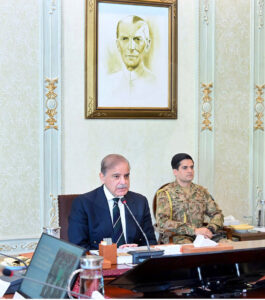 Prime Minister Muhammad Shehbaz chairs the meeting of Apex Committee of National Action Plan
