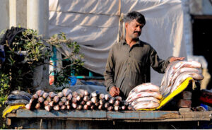 Vendor displaying and selling fish to attract the customers at roadside setup