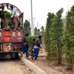 PHA staffers loading plant pots on delivery truck in the Provincial Capital