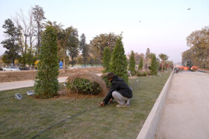CDA workers plant saplings on the green belt at the Serena Chowk Underpass construction site, nearing completion and set to open for traffic soon in the Federal Capital