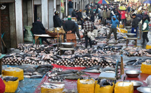 People and shopkeepers are buying different kind of fish from wholesalers at the new wholesale fish market in the Provincial Capital