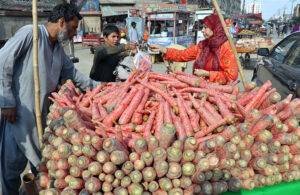 A woman selects fresh carrots from a roadside vendor's hand cart in the Provincial Capital.