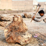 A worker busy in cutting wood at his workplace