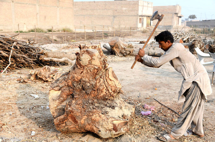A worker busy in cutting wood at his workplace