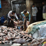 Vendors busy cleaning the fishes to attract the customers at wholesale fish market