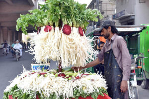 A roadside vendor displaying fresh radishes on a handcart to attract the customers at Salamat Pura Road
