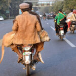 Motorcyclist holding pet dog on the way for check-up on Canal Road