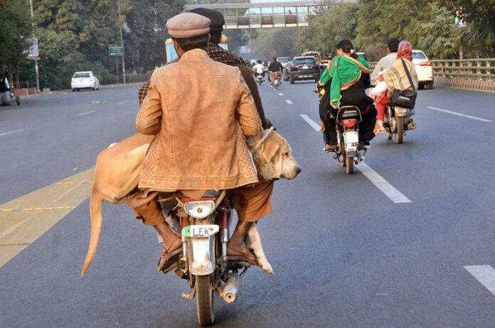 Motorcyclist holding pet dog on the way for check-up on Canal Road