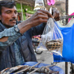 A street vendor selling tortoise on his bicycle to attract customers on the roadside at Garhi Shahu
