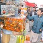 A young boy shows interest in buying fish as pets at Bird Market, in the city