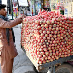 A young vendor arranging seasonal vegetables and carrots attractively to catch the attention of customers on the roadside