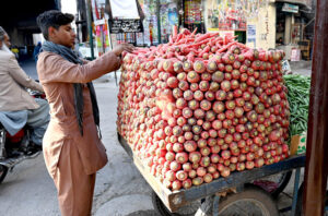 A young vendor arranging seasonal vegetables and carrots attractively to catch the attention of customers on the roadside