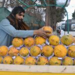 Vendor displaying Papayas to attract customers at Jinnah Road