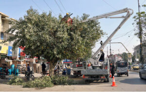 KESC workers trimming high tree branches touching main electric wires in the metropolis