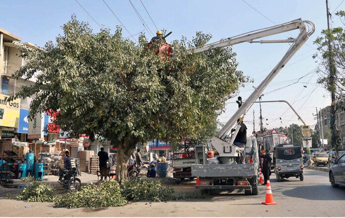KESC workers trimming high tree branches touching main electric wires in the metropolis