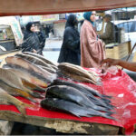 A vendor watering fishes to keep them fresh to attract the customers in the metropolis