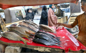 A vendor watering fishes to keep them fresh to attract the customers in the metropolis