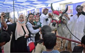 Visitors take keen interest in the animals at the stalls established during the Pakistan’s largest livestock, fisheries and cattle show at the Expo Center