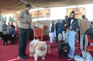 Visitors take keen interest in the animals at the stalls established during the Pakistan’s largest livestock, fisheries and cattle show at the Expo Center