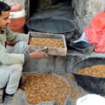 A vendor busy cleaning grams at his shop
