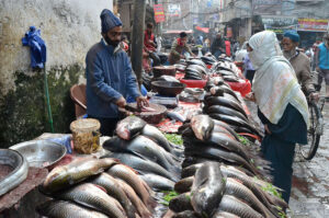 A fishmonger is busy cutting and cleaning fishes which is his setup in the wholesale fish market for sale as the demand for seafood increases during the winter season.