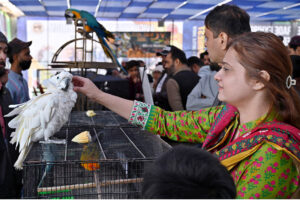 Visitors take keen interest in birds during visits to various stalls at the Livestock Expo 2025, organized by the Livestock & Fisheries Department at the Expo Centre