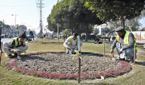 PHA workers are engaged in digging to plant seasonal flowers on the green belt near Wahdat Road to enhance the beauty of the city.
